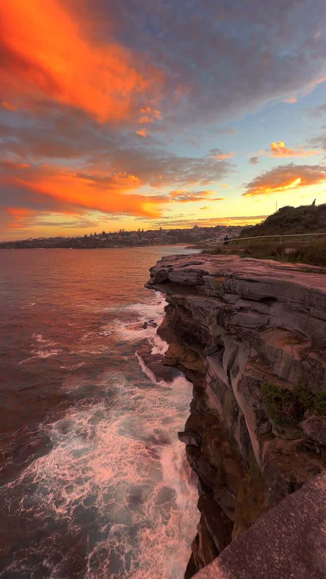 No matter how many times, Sydney sunsets never get old 🙌🏼