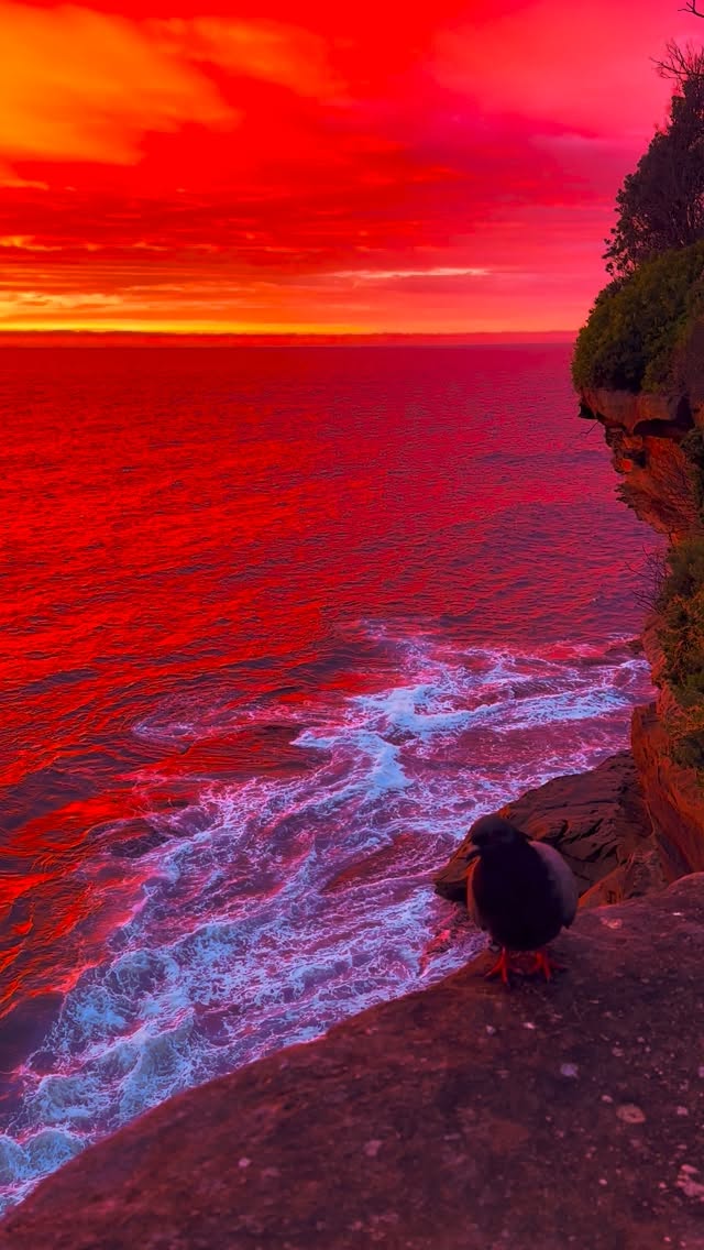 If heaven has an ocean view, I imagine it might look something like this 🫶🏻