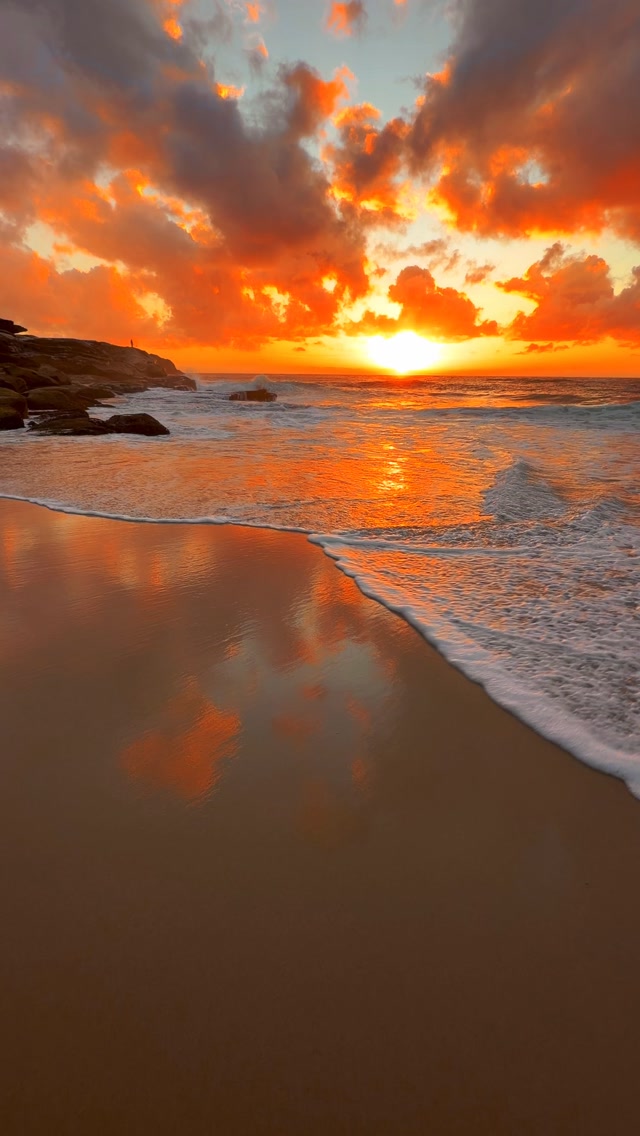 A little piece of Bronte every day 💛