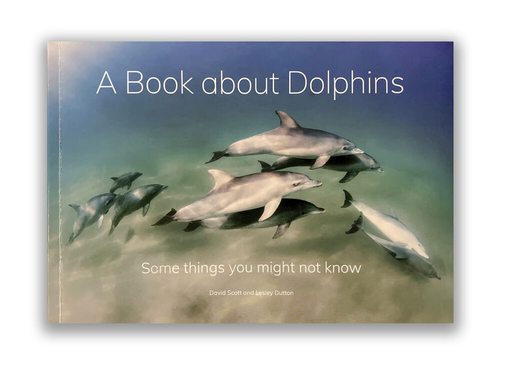 Dolphin Secrets Part 4 – Dolphins communicating, playing, and navigating with sound – exploring signature whistles, echolocation, and complex behaviour in the wild
