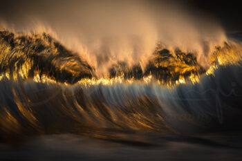 Golden ocean wave illuminated by sunset in Sydney, Australia, capturing dramatic light in fine art ocean photography.