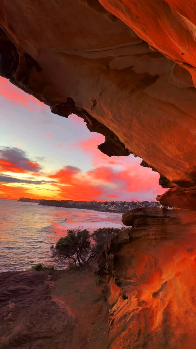 I still haven’t found a better place to watch the sunrise in Sydney 🫶🏻