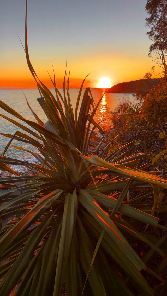 One of the most epic views along Australia’s East Coast 💛
