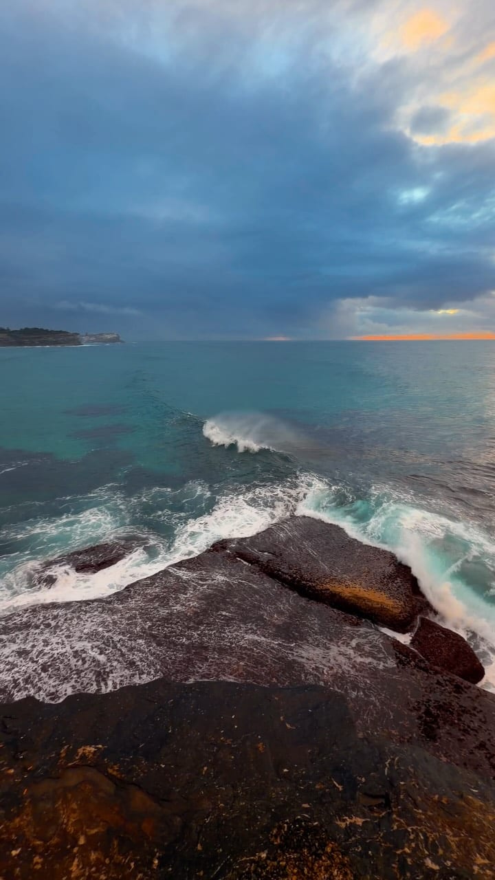 A little piece of Bronte every day 💛