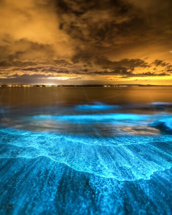 Bioluminescent waves glowing blue along the shoreline at Jervis Bay, NSW, beneath a cloudy night sky.