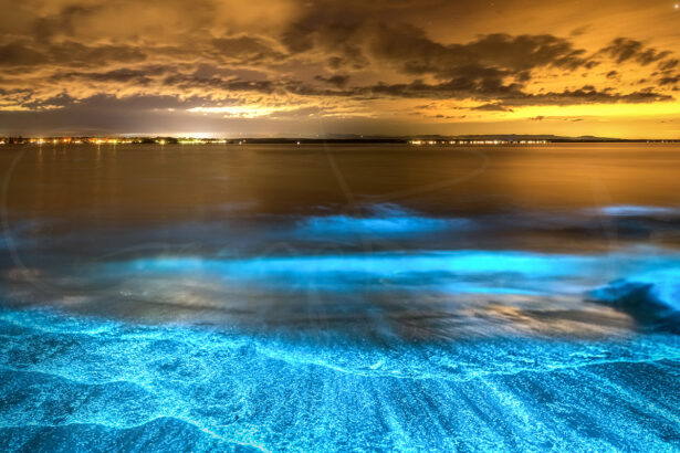 Bioluminescent waves glowing blue along the shoreline at Jervis Bay, NSW, beneath a cloudy night sky.