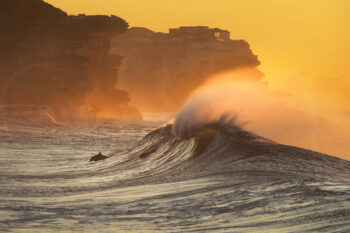 Dolphin swimming beside a breaking wave at sunrise at Bronte Beach, Sydney, Australia