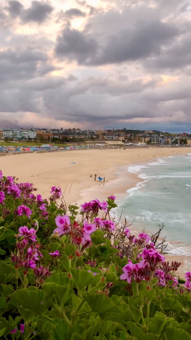 Ending the day the Bondi way 🫶🏻