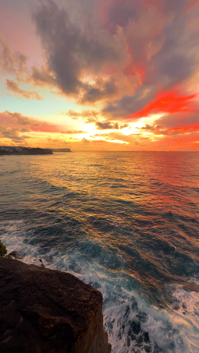 A little piece of Bronte every day 💛