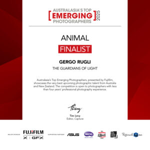 Award: Australasia’s Top Emerging Photographers 2025 – Animal – Finalist – The Guardians of Light series - Gergo Rugli