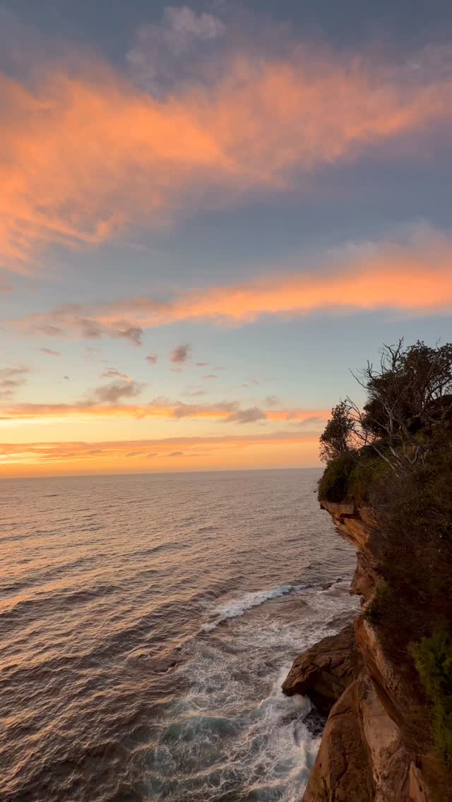 A little piece of Bronte every day 💛