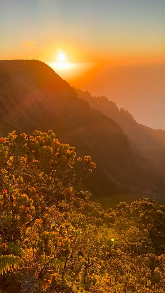 Welcome to paradise 🦜 🌴 🌅