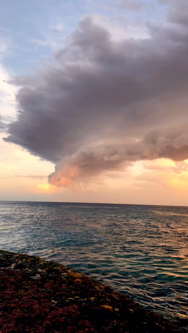 Another unreal sunset over Sydney 🙌🏼