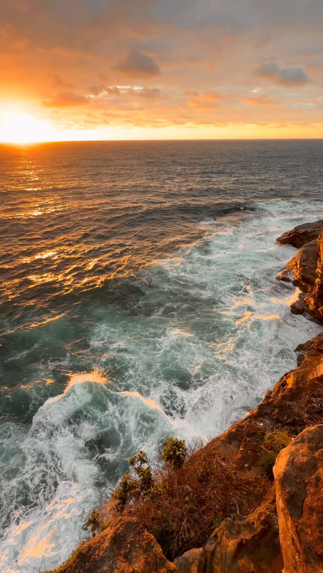 A little piece of Bronte every day 💛