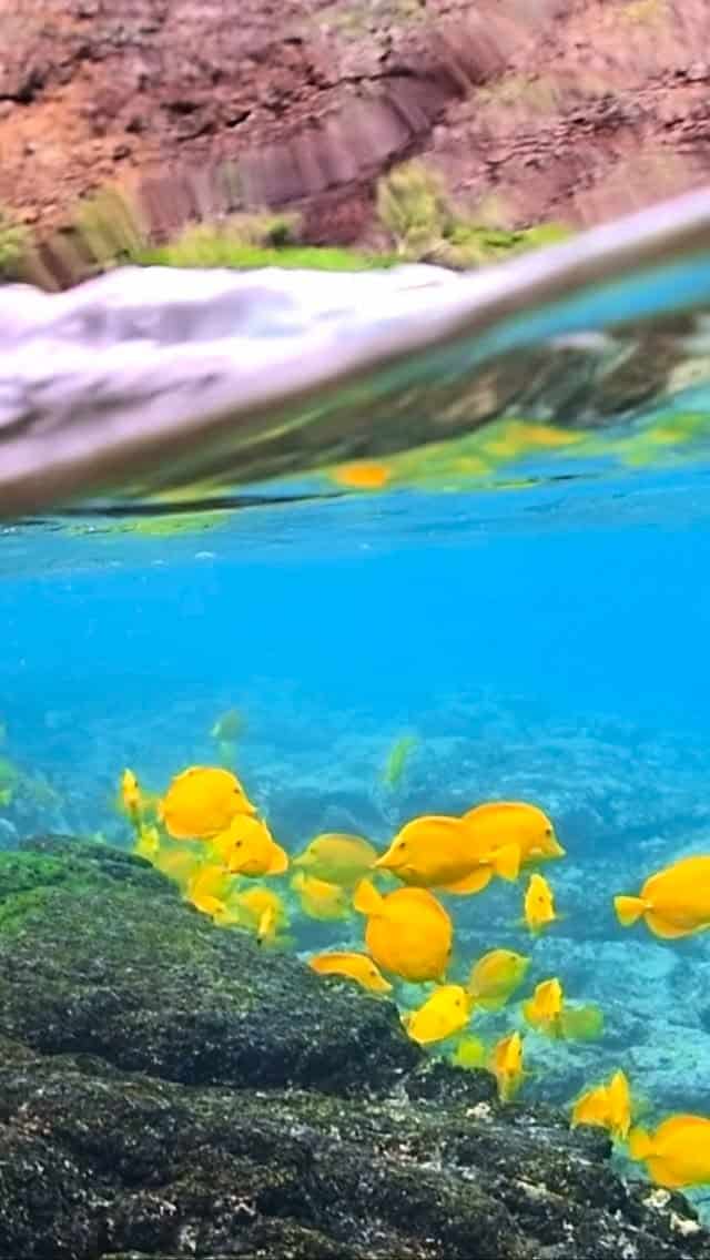 The Land of Magic ✨

#Hawaii #paradise