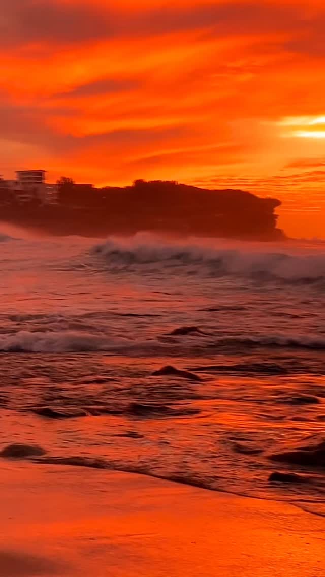 A little piece of Bronte every day 💛