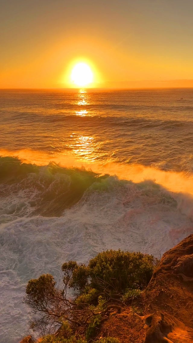 Daily Sunrise at Bronte Beach 💛