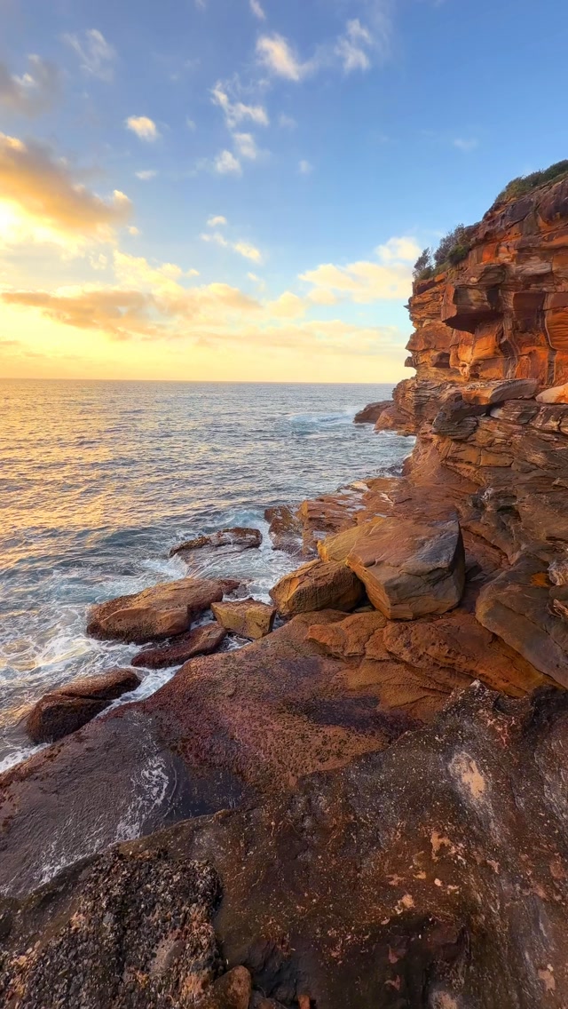 A little piece of Bronte every day 💛