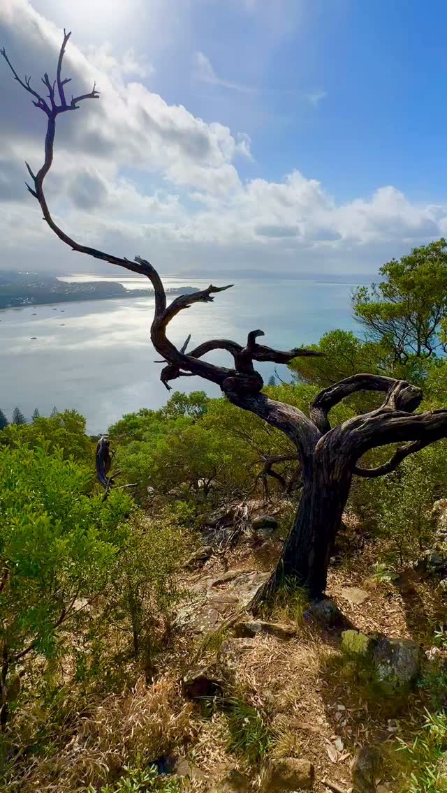 Epic view from the top of Mount Tomaree 🙌🏼
