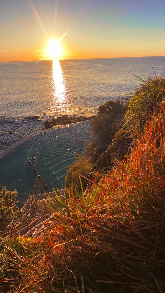 A little piece of Bronte every day 💛