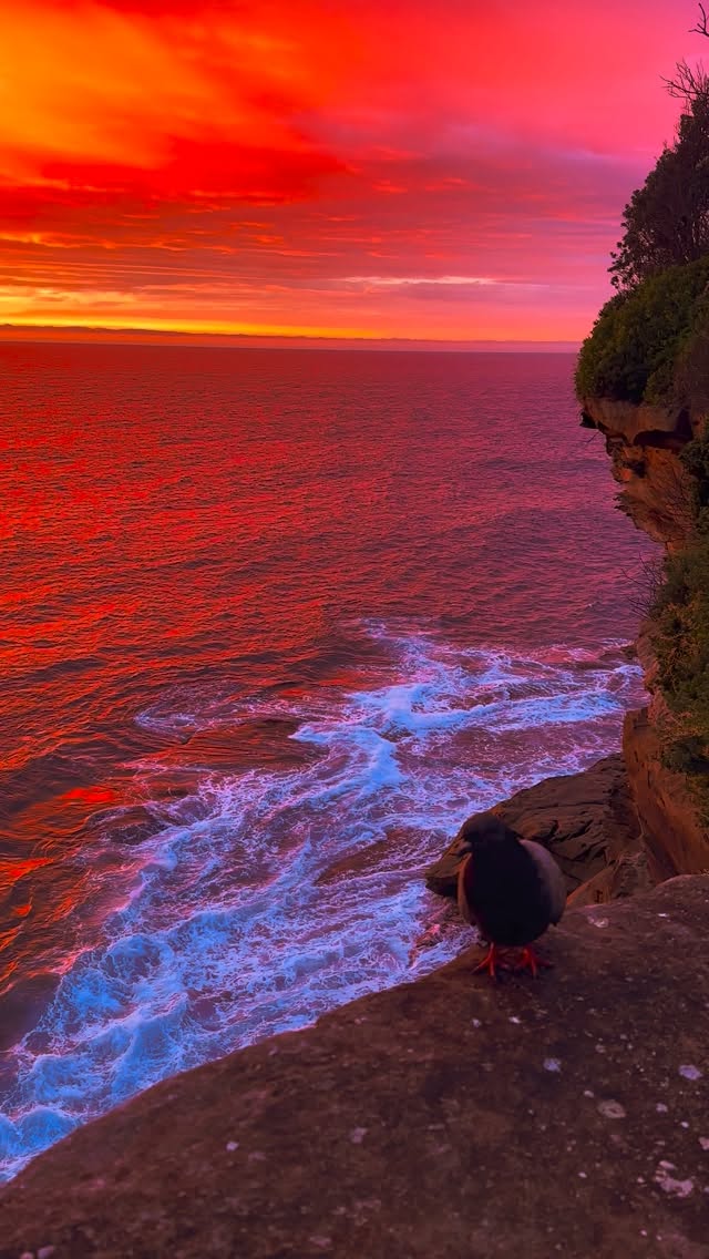 The best sunrise spot in Sydney 🙌🏼