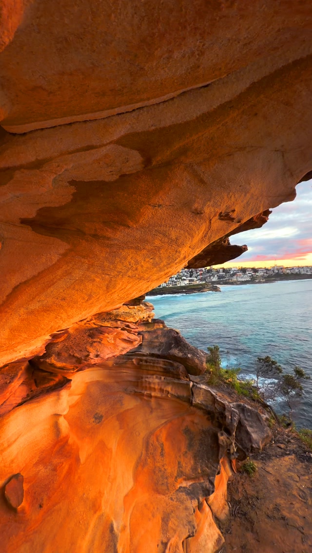 Mornings like this are why I call Sydney home 💛