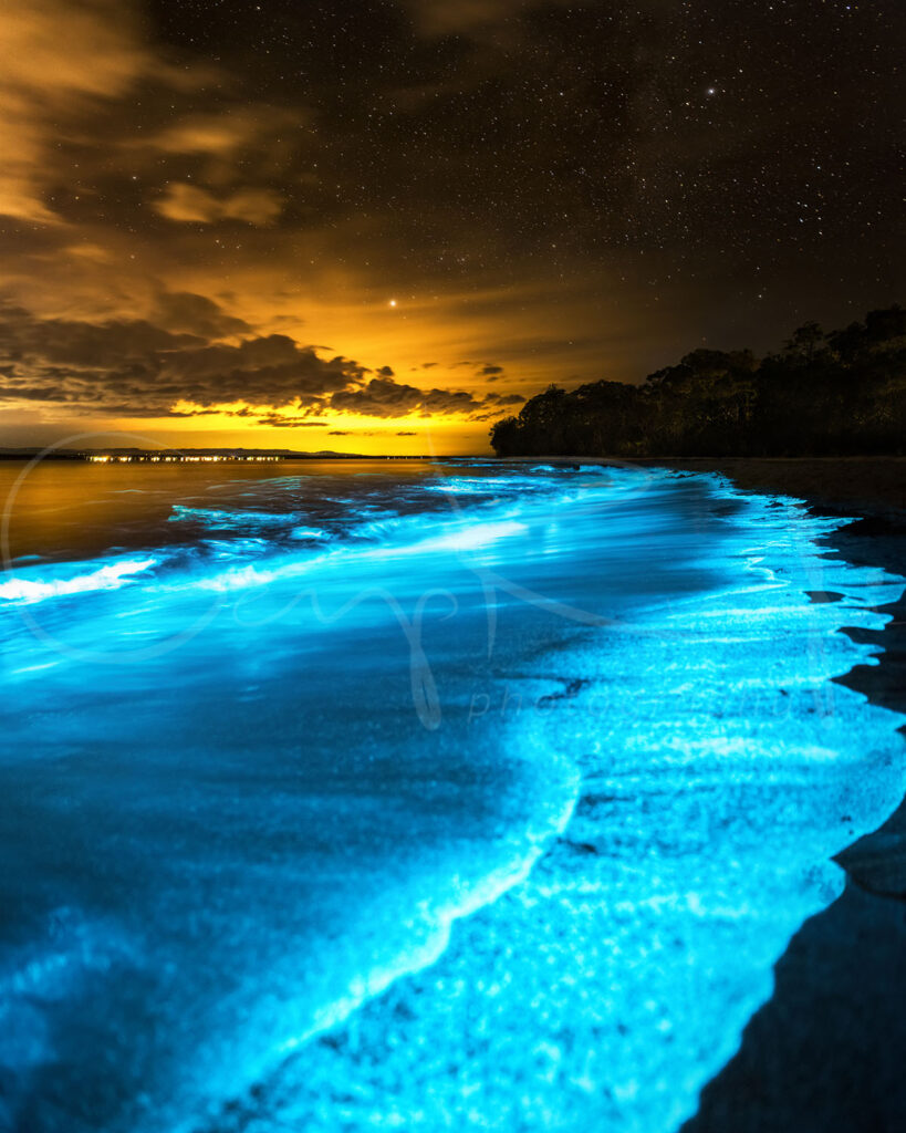 Electric-blue bioluminescent waves glowing beneath a dramatic golden night sky at Jervis Bay, NSW, fine art coastal photography.