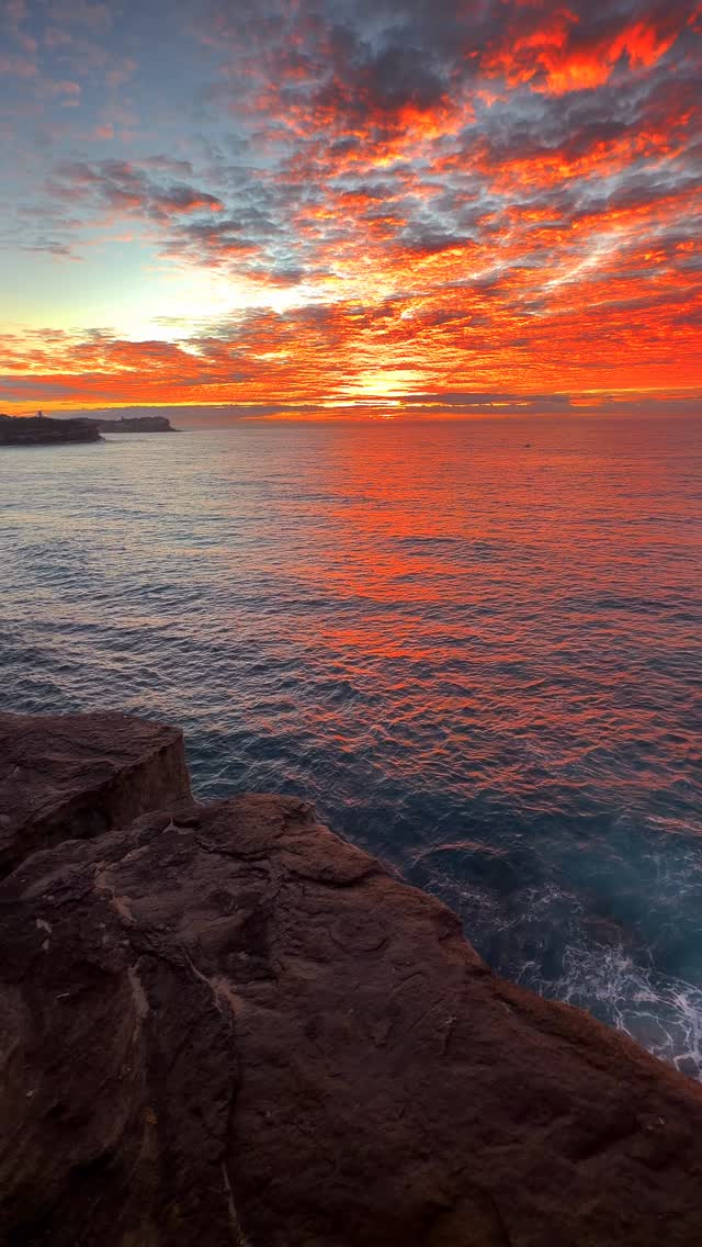 Starting the day the Aussie way 💛