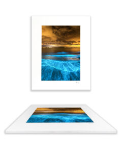 Fine Art Print - Bioluminescence Paradise