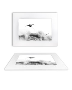 Fine Art Print - The Hunting Eagle