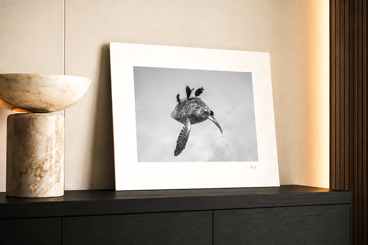 Black and white sea turtle photography displayed as coastal wall art in a modern interior, photographed at Waikiki Beach, Hawaii.