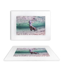 Fine Art Print - Oscar