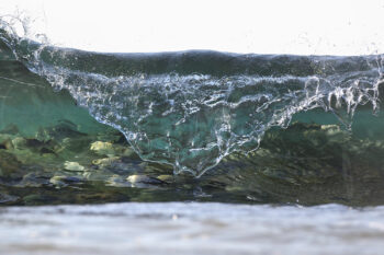 Breaking wave with a school of luderick fish visible beneath the surface at Byron Bay, limited edition fine art ocean photography print.