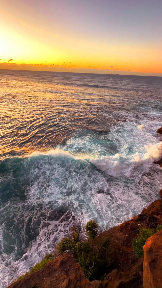 Bronte Beach every day 💛