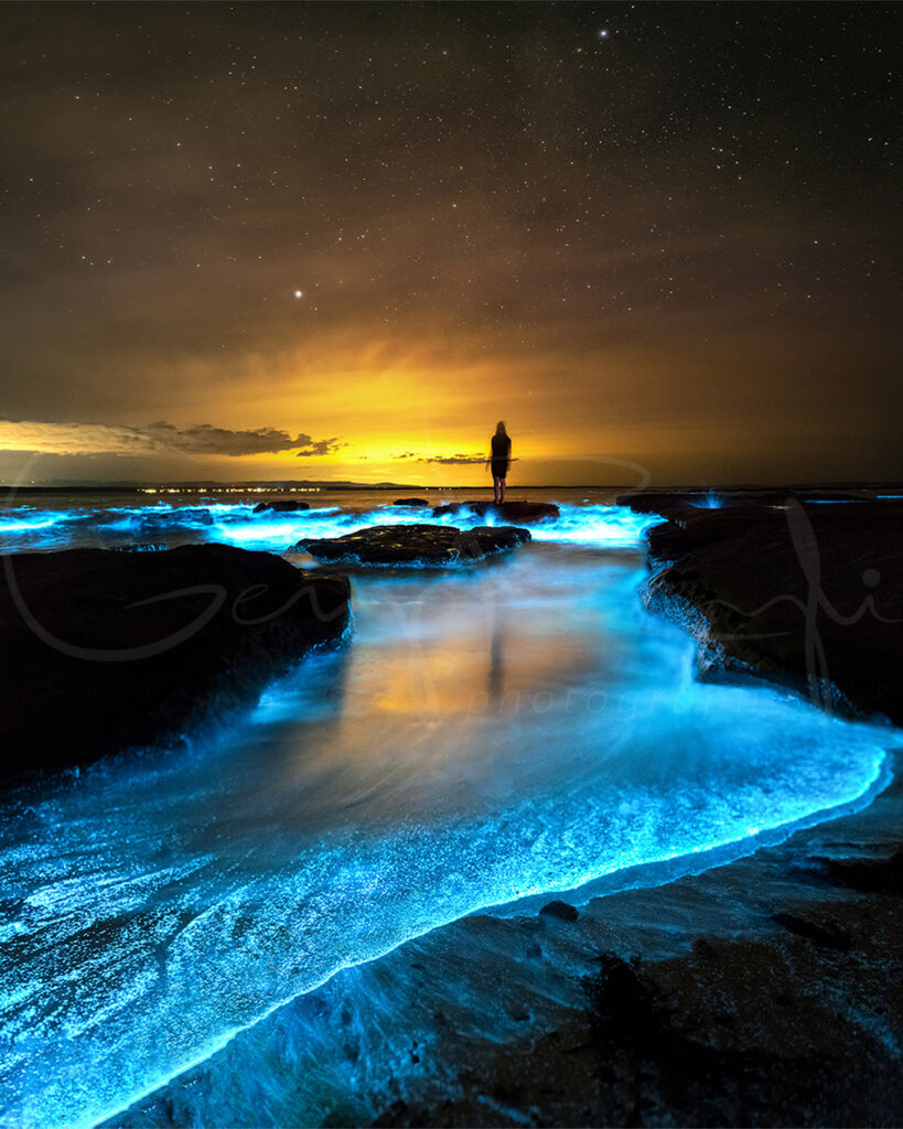 Bioluminescent waves glowing electric blue beneath a starry night sky in Jervis Bay, with a lone figure silhouetted on the rocks.