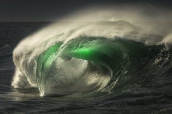 Limited Edition Ocean Art - Midgard Serpent