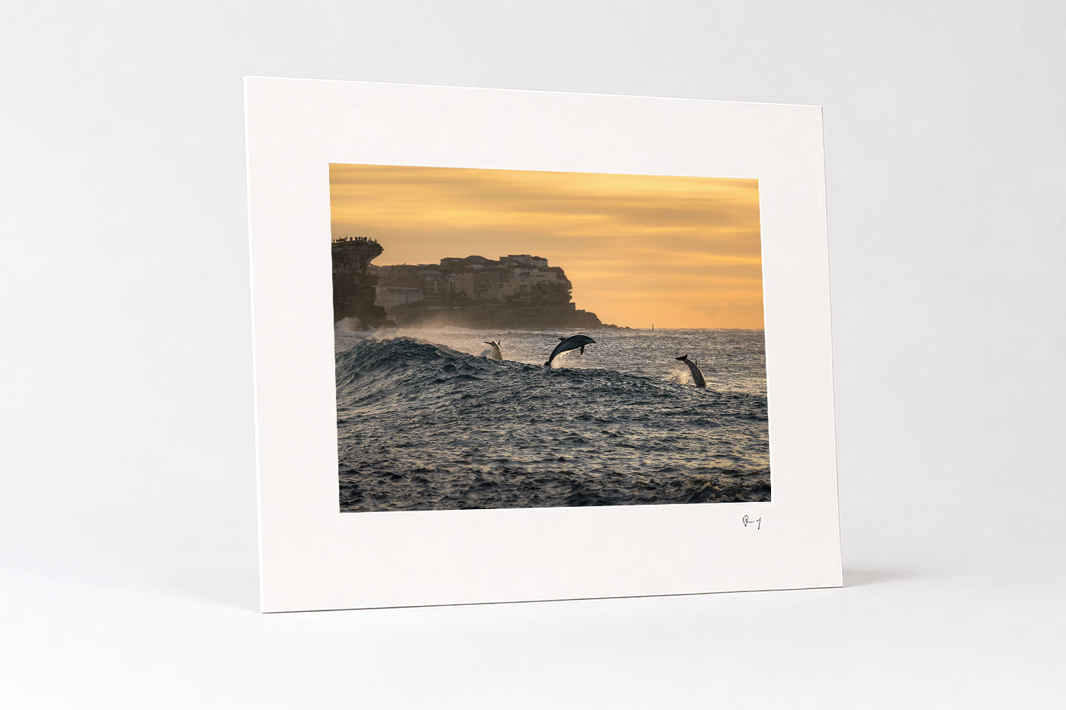 Mounted fine art print of bottlenose dolphins leaping through waves at Bronte Beach at sunrise, with golden light over the ocean.