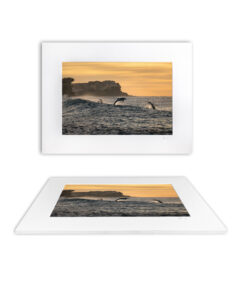 Fine Art Print - Recapture the Rapture