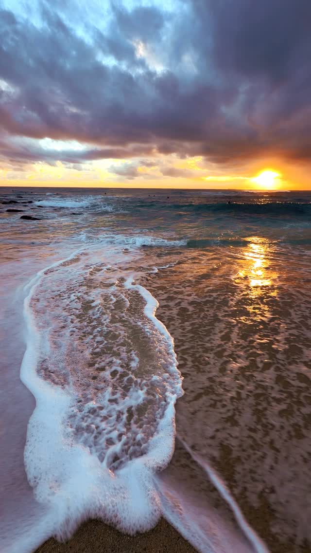 A little piece of Bronte every day 💛