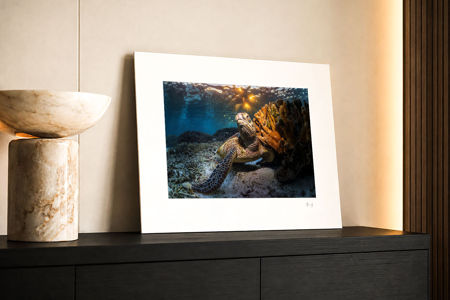 Fine Art Print - Golden Turtle