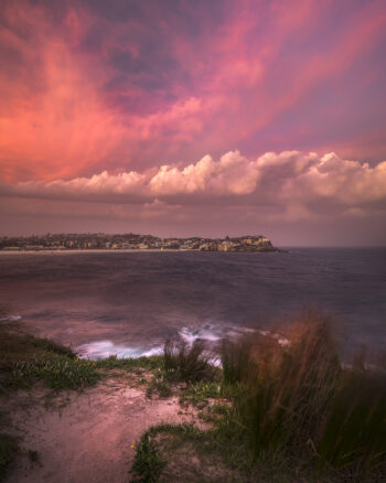 Dramatic pink storm clouds rolling over Bondi Beach at sunset, with windswept coastal grasses in the foreground – “Pink Storm” fine art print handmade in Australia.