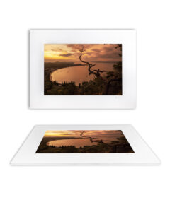 Golden sunset over Shoal Bay framed by a twisted tree silhouette, overlooking calm waters and distant hills – “Whomping Willow” fine art print from Port Stephens.