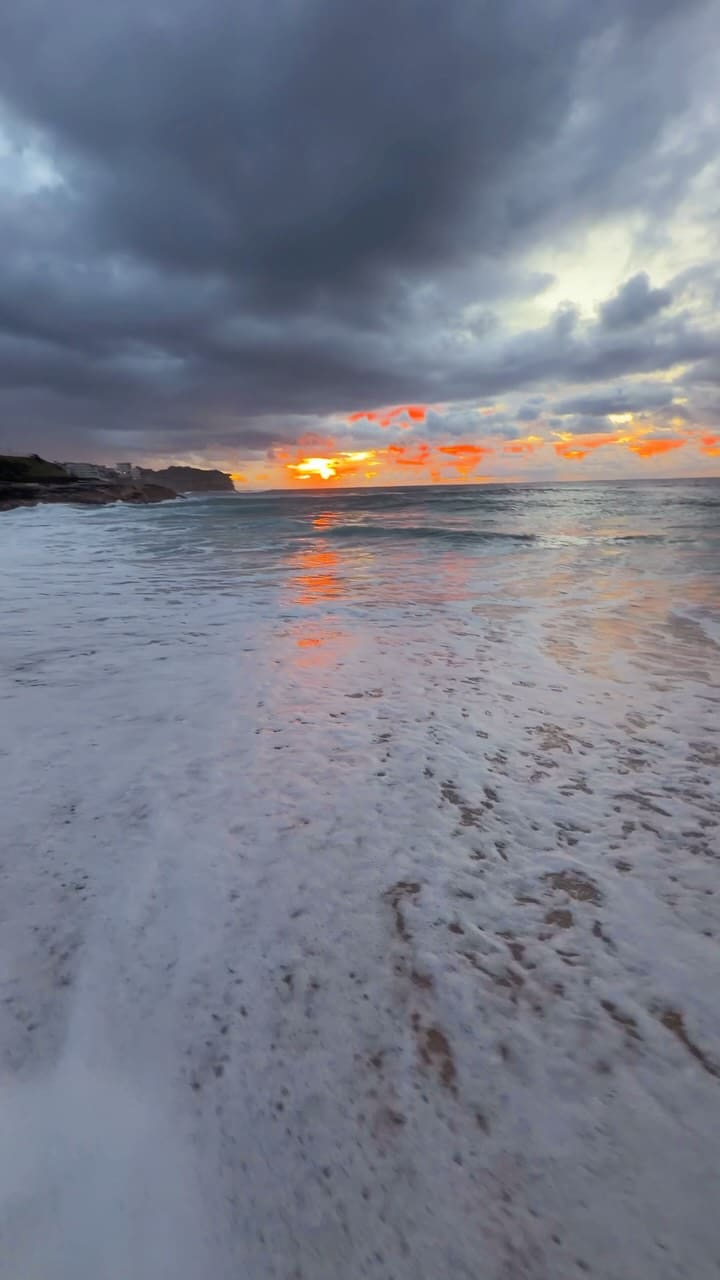 A little piece of Bronte every day 💛