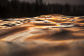 Golden sunset ripples on calm ocean water at Bondi Beach, Sydney, with warm light reflecting across gentle waves.