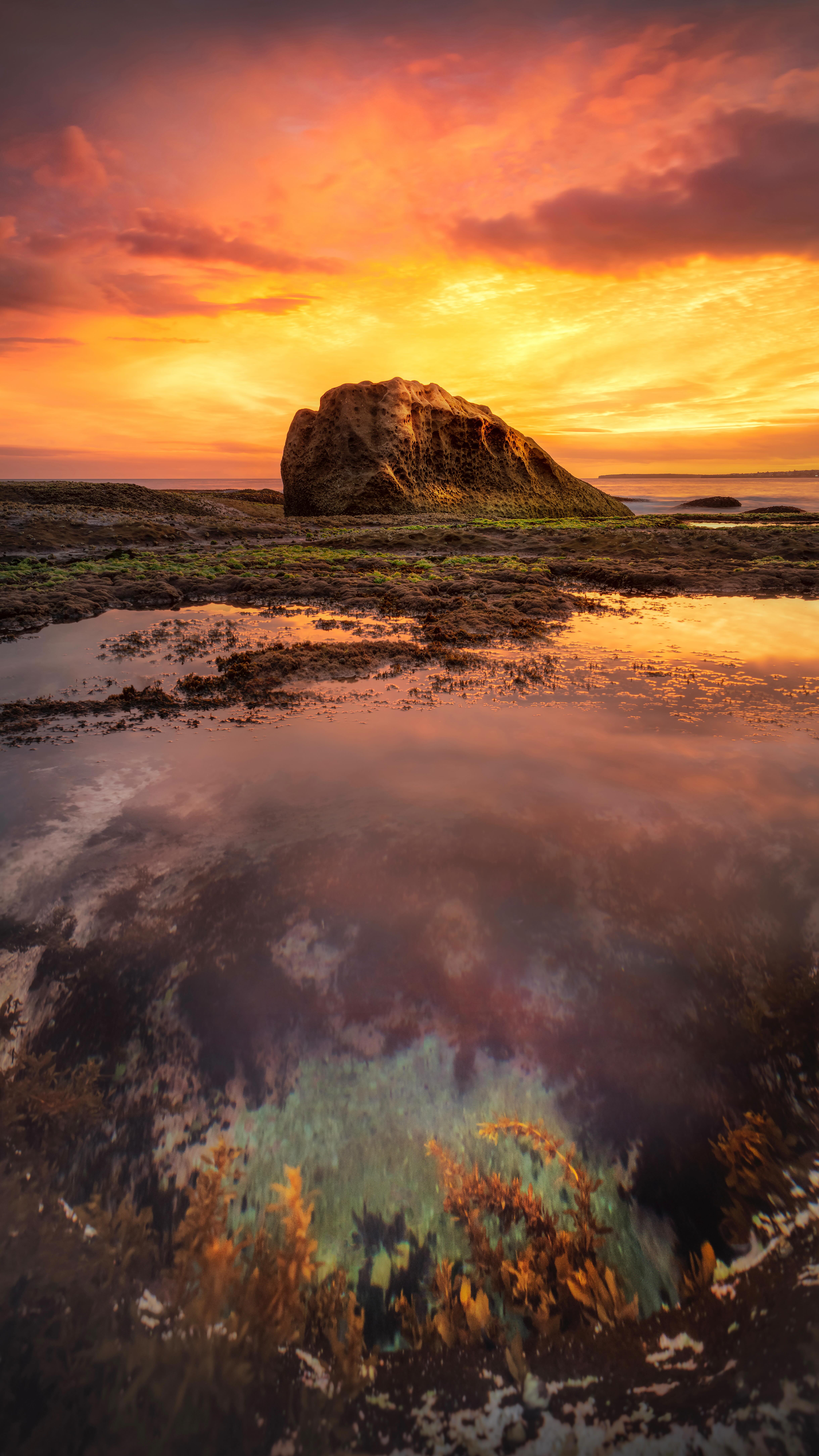 #Australia #bondibeach #feelnewsydney