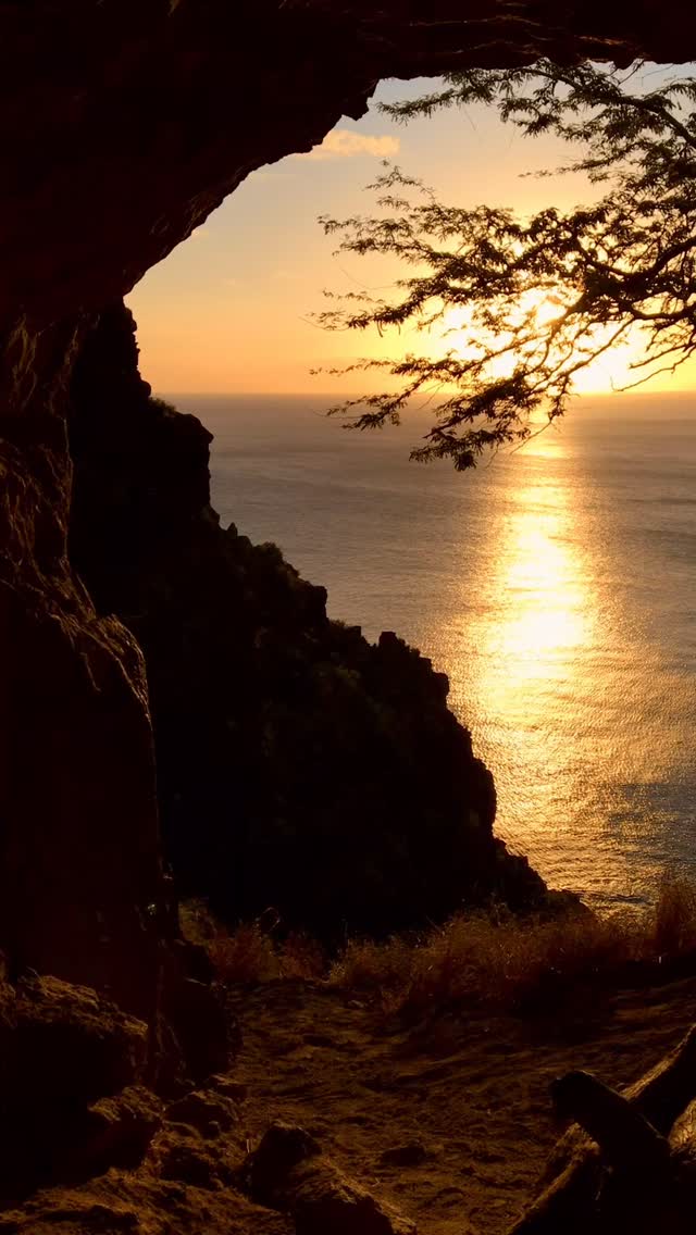 West side is the best side 🌴💛🌅