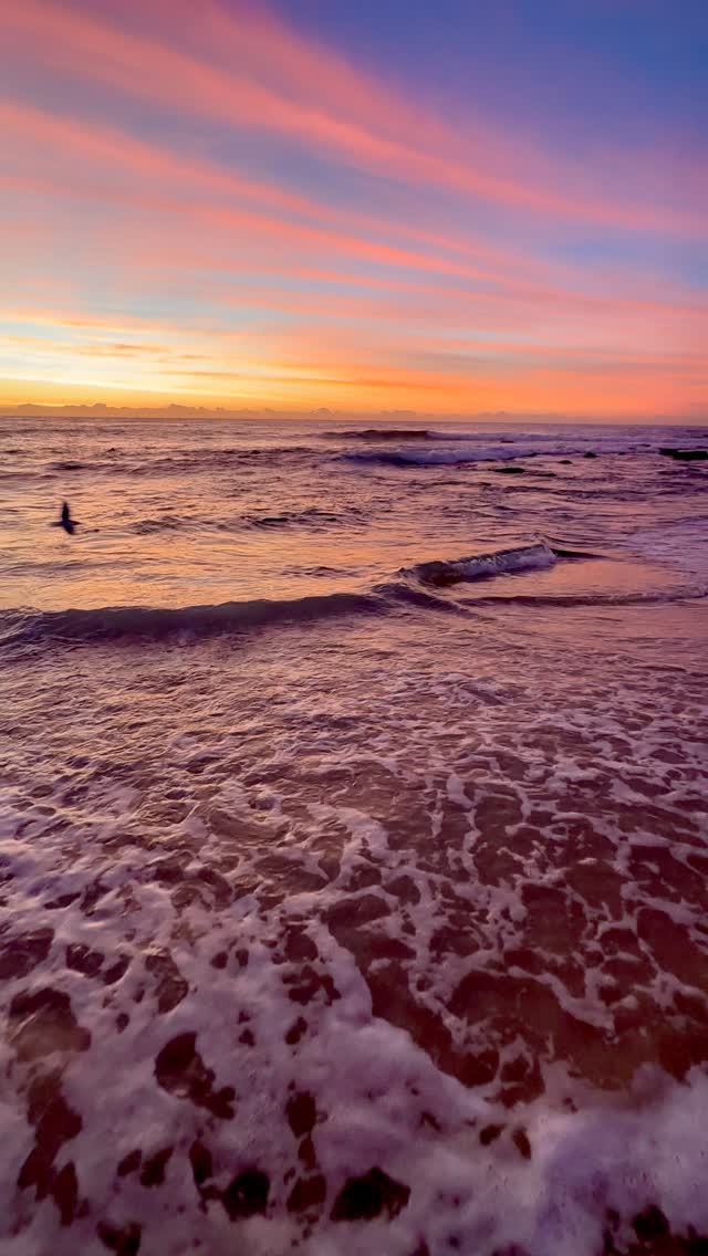 Daily Sunrise at Bronte Beach 🌅
