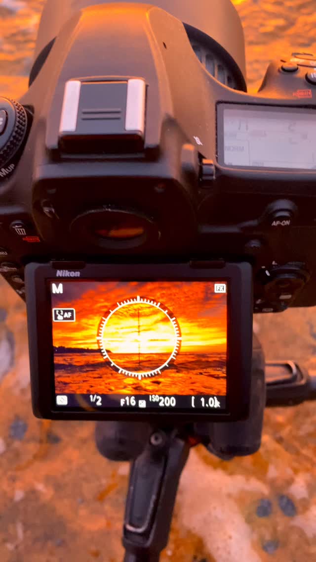 Bronte Beach in full glory 🔥