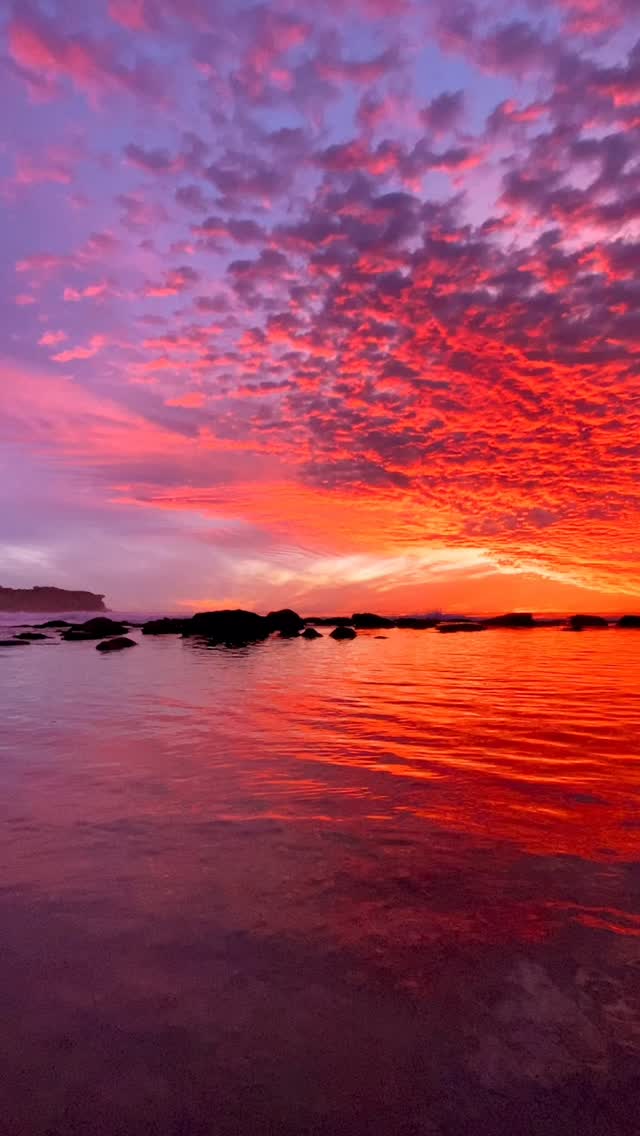 Daily Sunrise at Bronte Beach 🌅