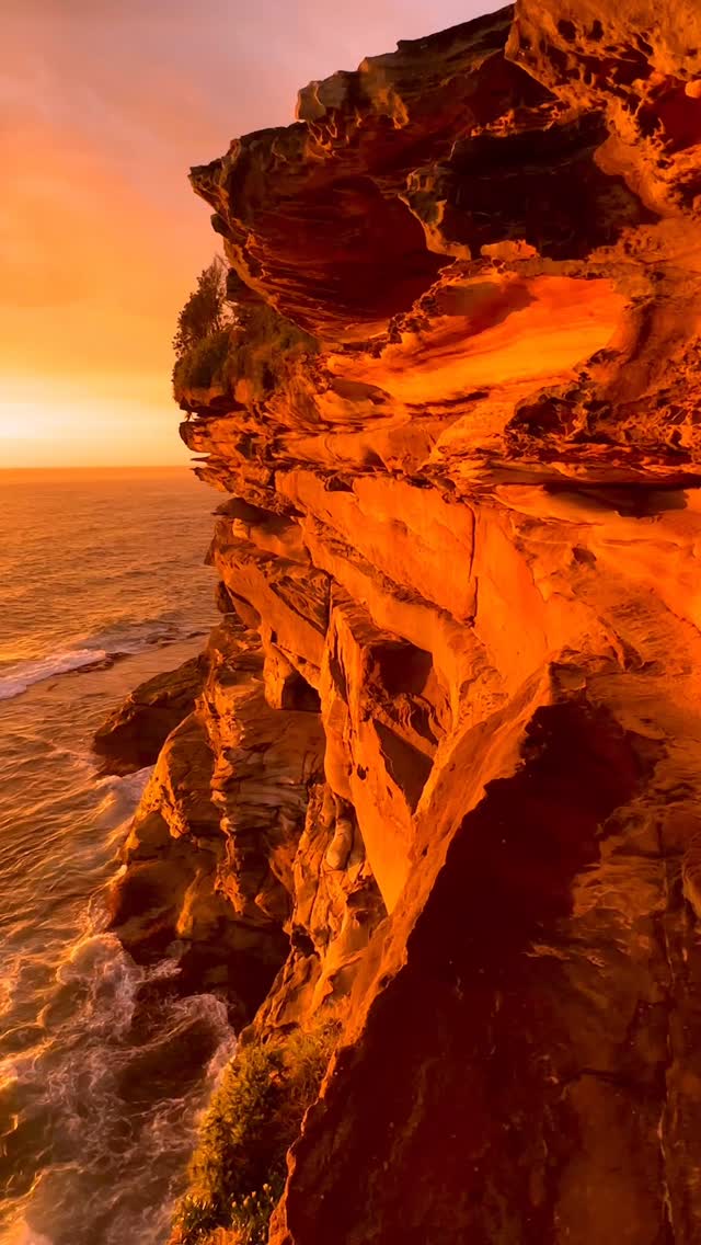 No matter how many times, Sydney sunrises never get old 🌅